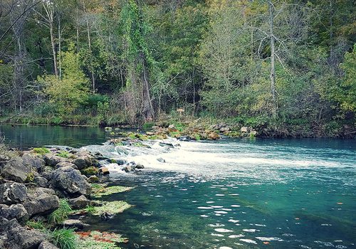Bennett Spring on the Niangua River in Missouri