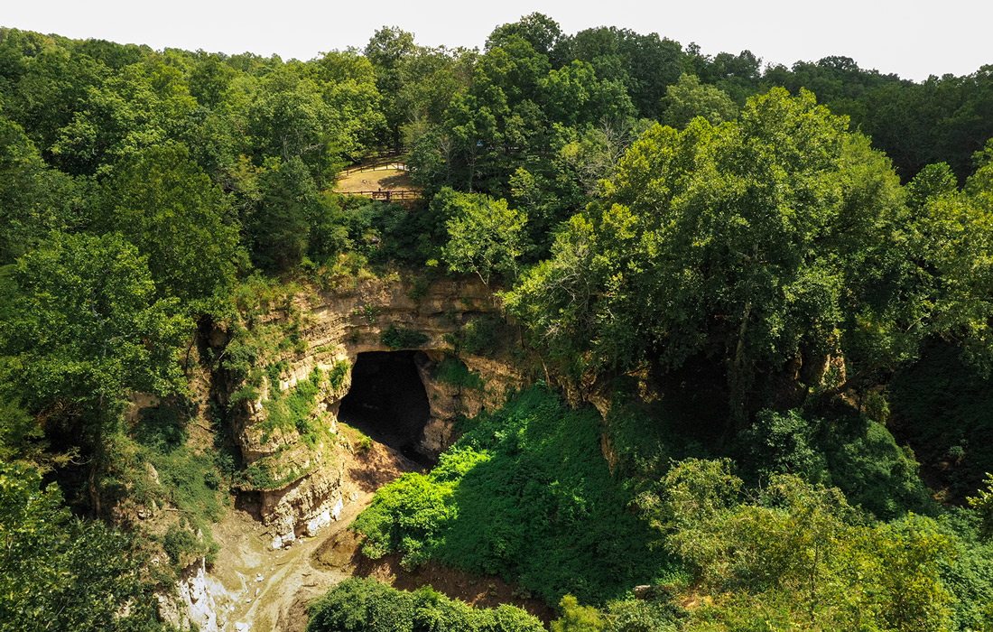Trees around a cave in Grand Gulf State Park, Missouri