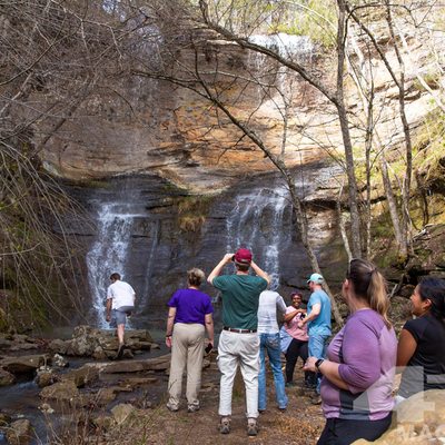 Wonders of the Ozarks 2024