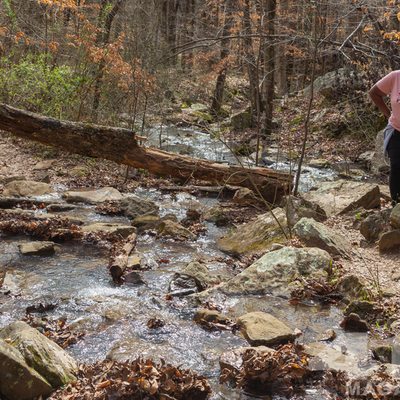 Wonders of the Ozarks 2024