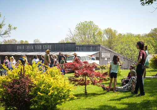 A Must-Do Guide for Gardeners