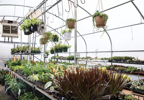 Joplin Greenhouse & The Coffee Shop