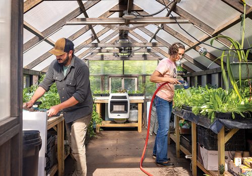 How Springfield Community Gardens Helps with Urban Farms and Initiatives