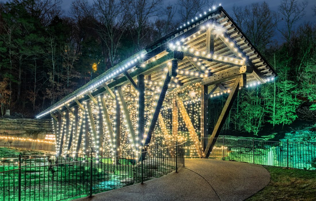 Entrance at Nature at Night