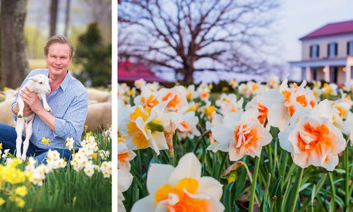 P. Allen Smith at Moss Mountain Farm in Arkansas