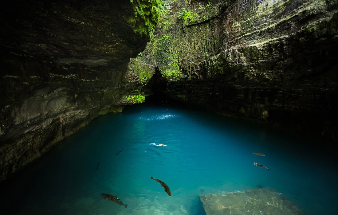 Fish in water at Roaring River State Park, Missouri