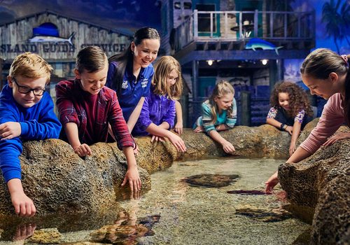 Unleash Your Child’s Wild Side with these Summer Camps at Wonders of Wildlife