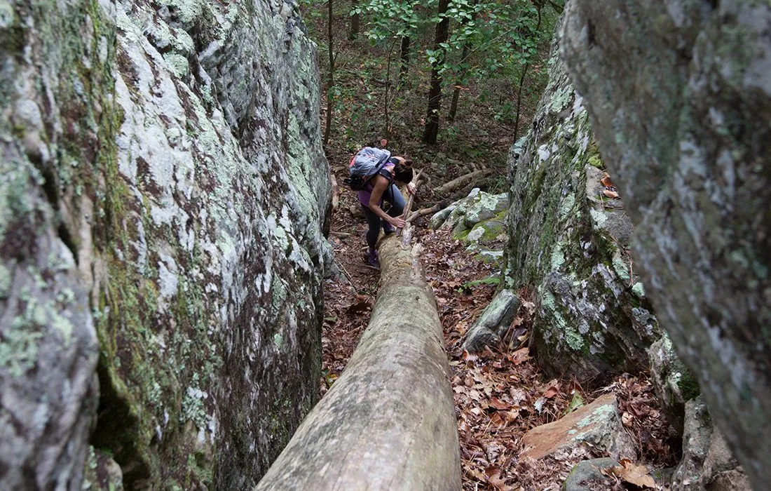Big Piney Trail in Missouri