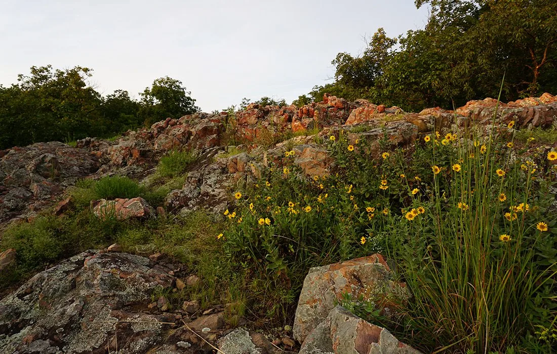 Mina Sauk Falls Trail in Missouri